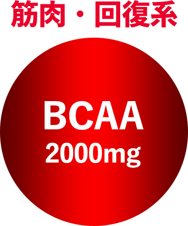 筋肉・回復系 BCAA 2000mg